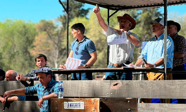Cabania lamargarita remate angus 23setiembre2025