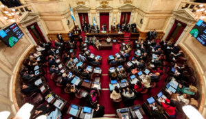 Senado leydiscapacidad aerea 4setiembre2025