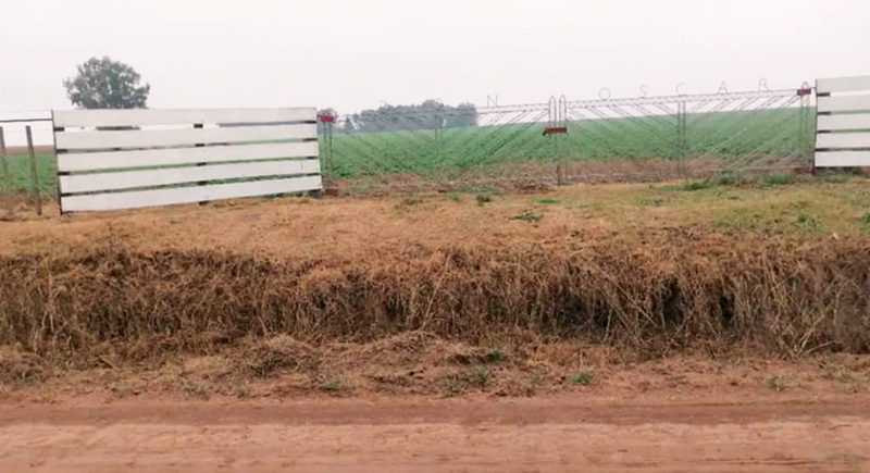 Sonciniesteban campo quejas 2setiembre2025