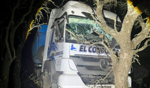 Camion choque caldenes rucanelo 8setiembre2025