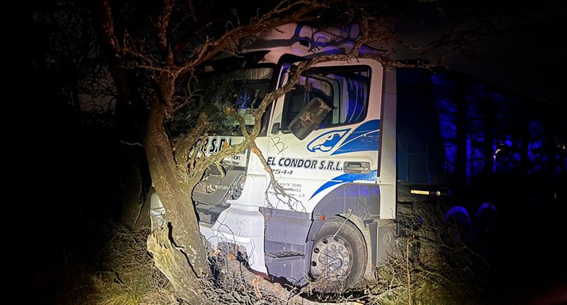 Camion choque caldenes rucanelo 8setiembre2025 1