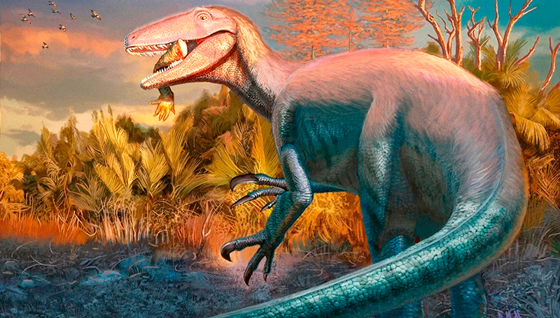 Dinosaurio joaquinraptorcasali ilustracion chubut 24setiembre2025