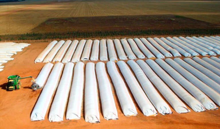 Silobolsas cosecha cosechadora 24setiembre2025