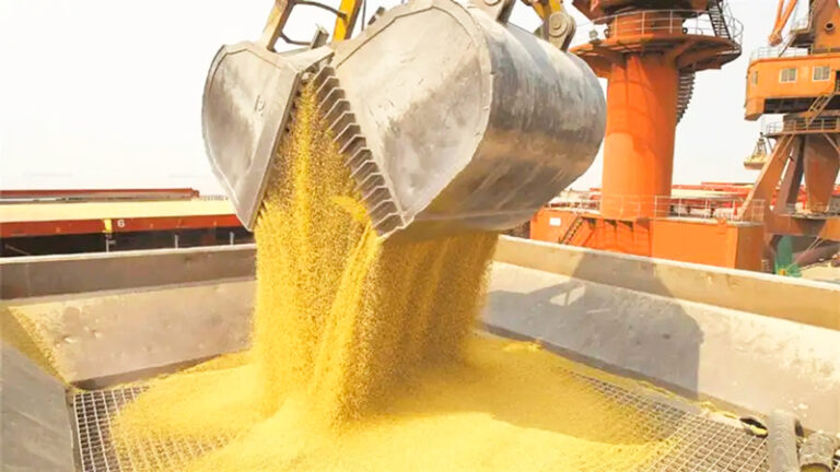 Soja cereal exportaciones 25setiembre2025