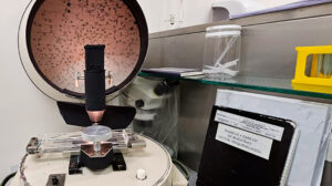 Triquinosis laboratorio analisis 11setiembre2025