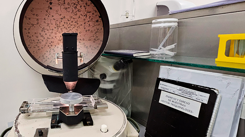 Triquinosis laboratorio analisis 11setiembre2025