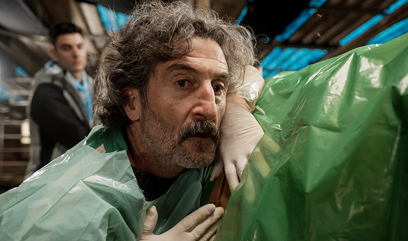 Animal serie 28octubre2025