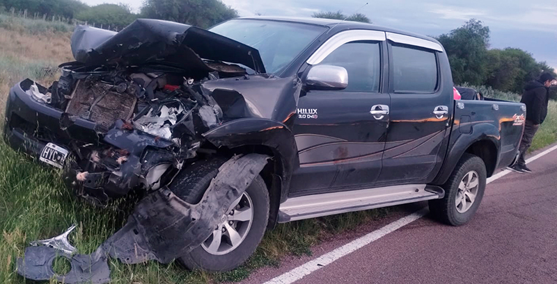 Camioneta choque vacuno 26octubre2025