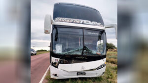 Colectivo choque vacuno 26octubre2025