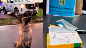 Droga perro allanamientos 24octubre2025