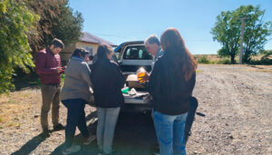 Sanasa control plagas viniedos casadepiedra 7noviembre2025