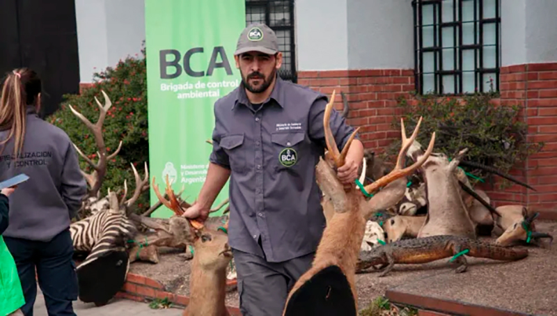 Villegasemiliano premio internacional 2noviembre2025