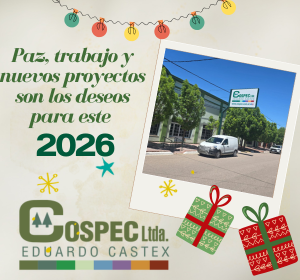 Anionuevo cospecltda (1)