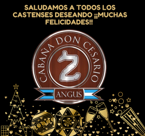 Anionuevo cospecltda (2)