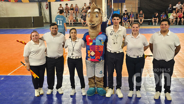 Araucania arbitros mascotas castex 12diciembre2025