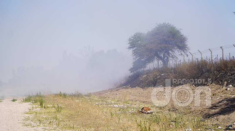 Basureromunicipal incendio calle 15diciembre2025
