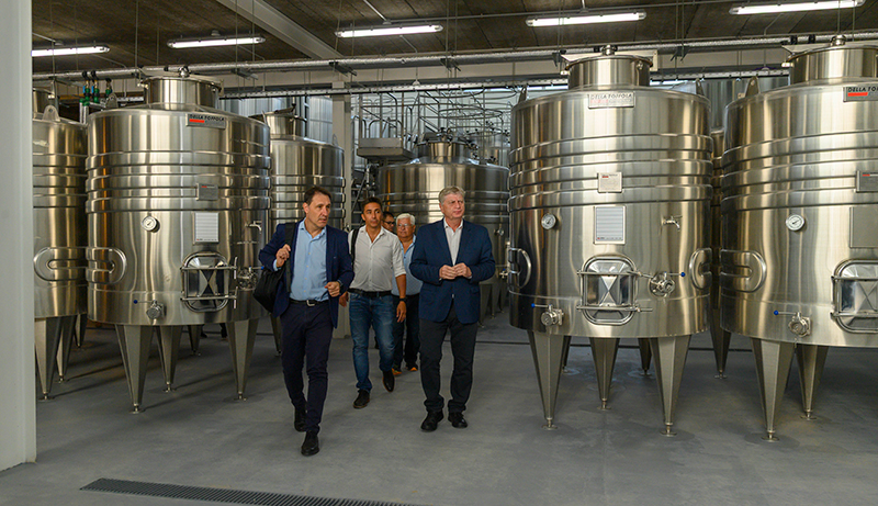 Casadepiedra ziliottosergio bodega elaboracion 4diciembre2025