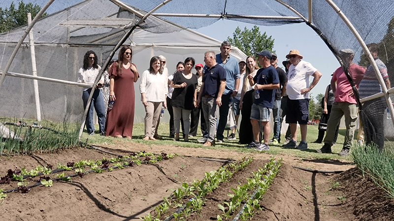 Ceret jornada funcionarios 5diciembre2025