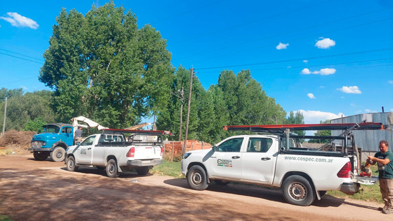 CospecLtda moviles trabajadores 30diciembre2025