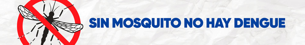 Gobiernolapampa dengue 1000x150 diciembre2025