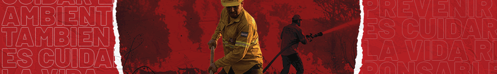 Gobiernolapampa incendios forestales diciembre2025