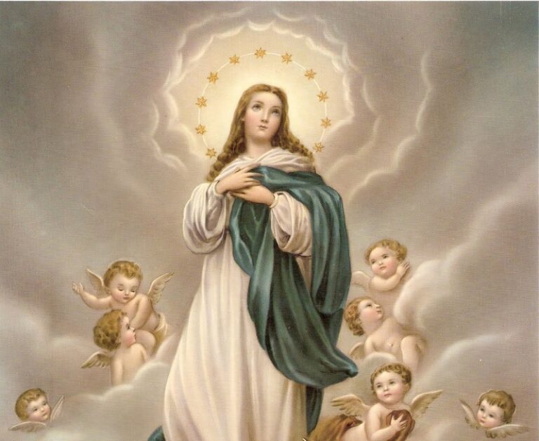 Inmaculada concepción de la virgen maría