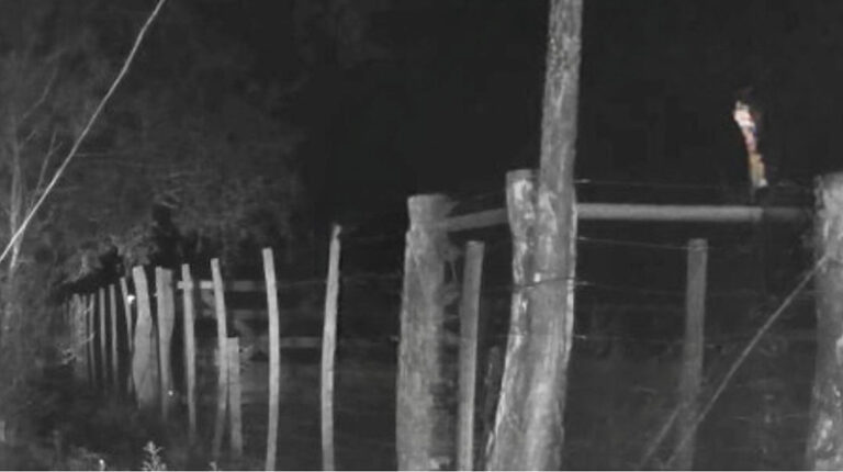 Uriburu poste choque fallecimiento motociclista 14diciemrbe2025