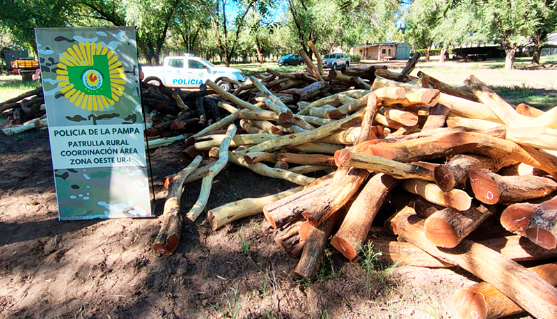 Victorica decomiso postes 5diciembre2025 1