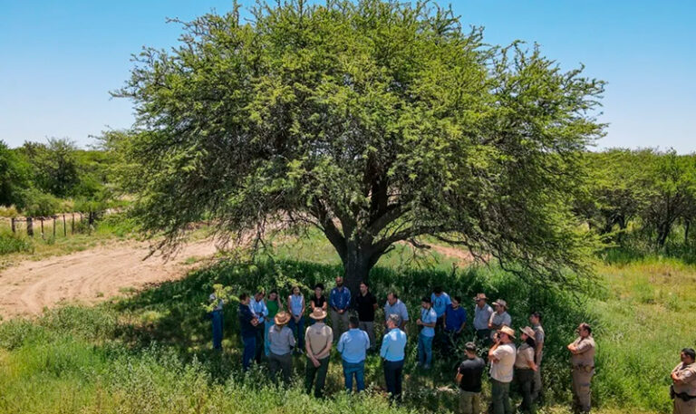 Calden tecnicos convenio proteccion 24diciembre2025