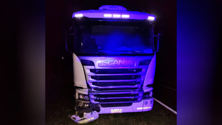 Camion scania choque vacunos rutanacional35 6diciembre2025