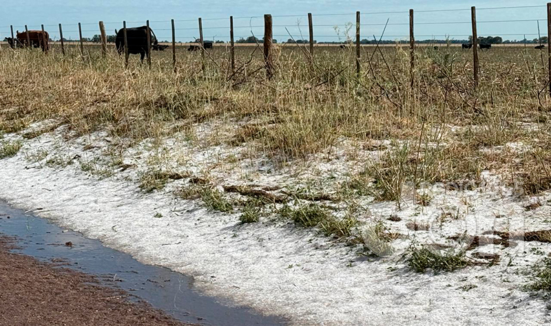 Campo piedra granizo 25diciembre2025