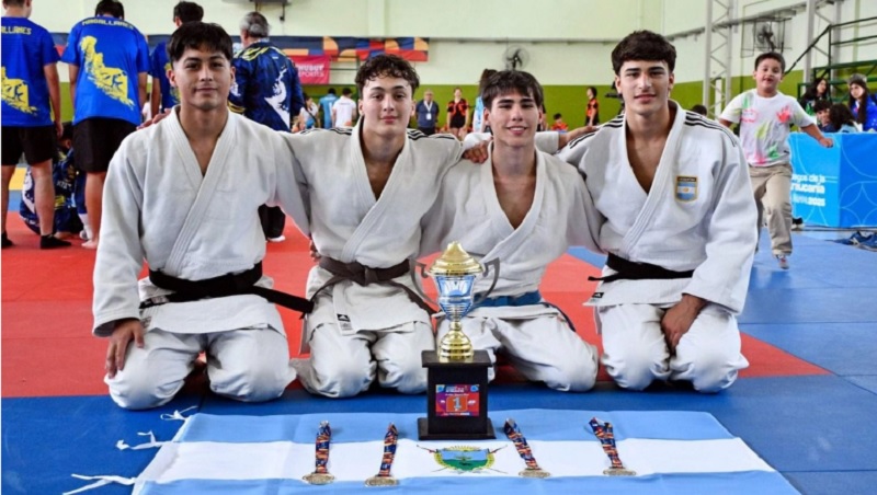 Judo, campeon, araucania