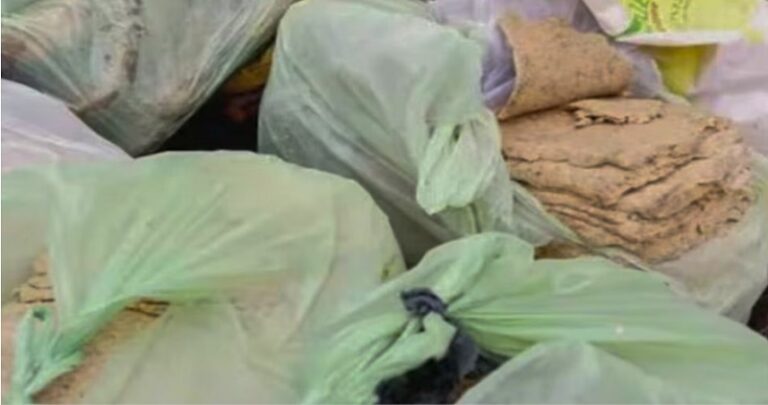 Sandwich, papel higienico.