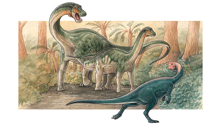 Dinosaurio sauropodo ilustracion Neuquen 14enero2026