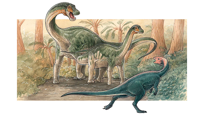 Dinosaurio sauropodo ilustracion Neuquen 14enero2026