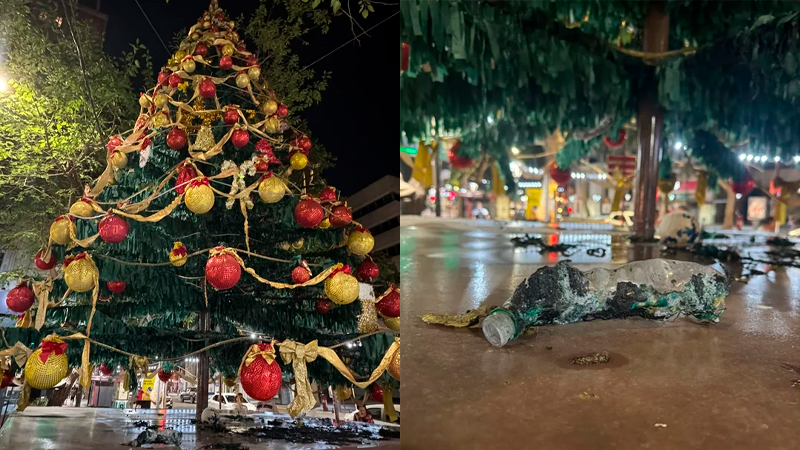 Grinch arboldenaviedad incendio Mendoza 4enero2026