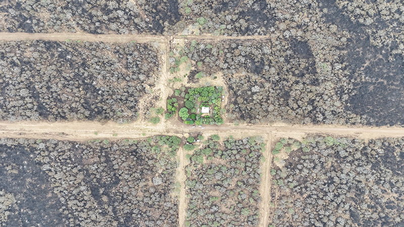 Incendios campos sur aerea 8enero2026