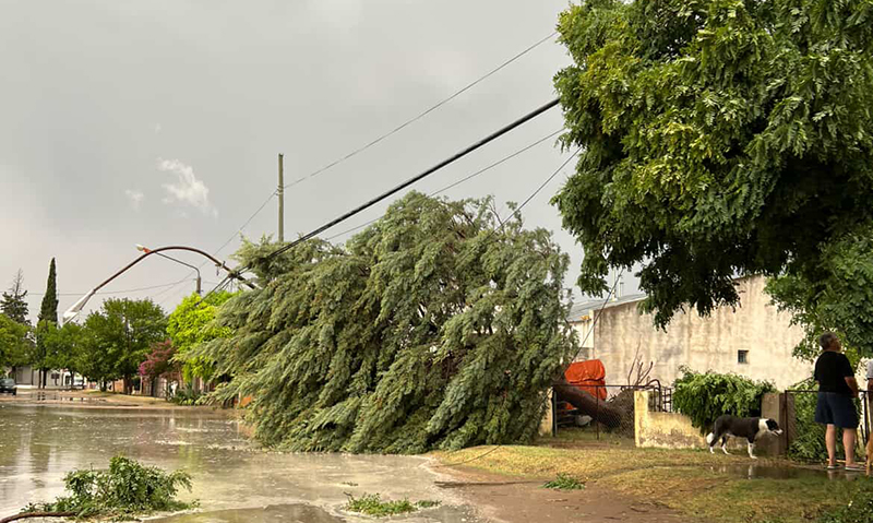 Tormenta danios GeneralAcha 22enero2026
