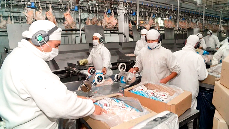 GranjaTresArroyos pollo frigorifico avicola trabajadores 19febrero2026