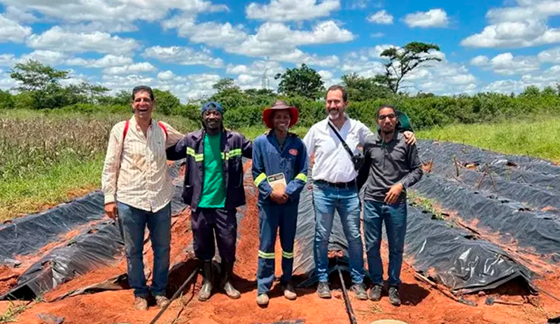 Inta especialistas cultivo tomate Mozambique 19febrero2026