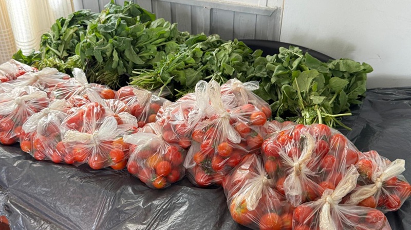 DialogandoentreSemillas programa verduras 1marzo2026