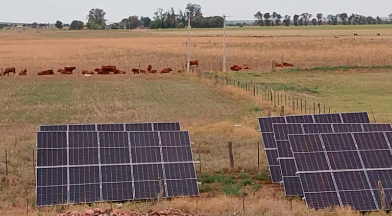 EnegiaSolar paneles campo SorbaHoracio 27marzo2026