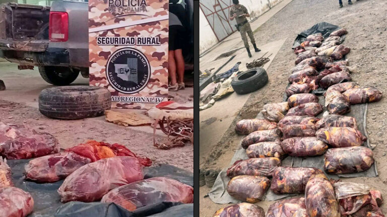 Carne equina secuestro Puelen 29marzo2026