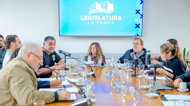 CamaradeDiputados comision Peticiones 7abril2026