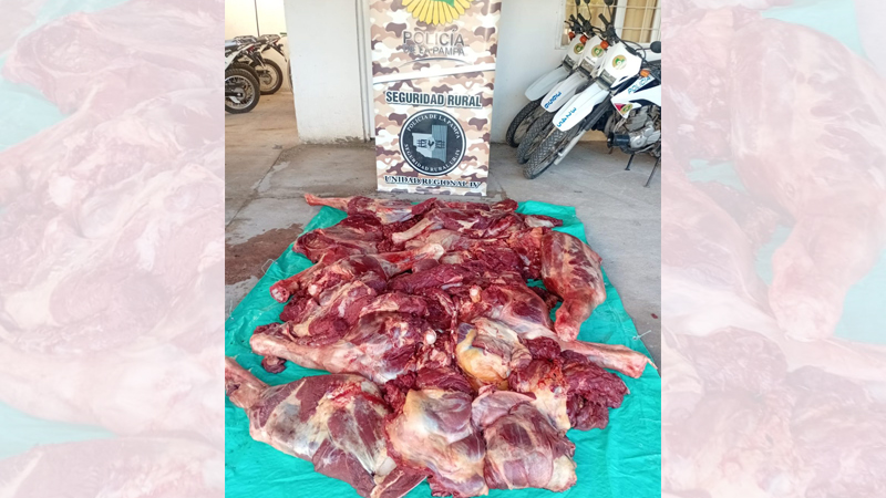 Carne caballos secuestro 25deMayo 21abril2026