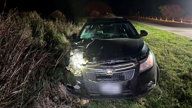 Choque Chevrolet Cruze animales rutaprovincial102 26abril2026