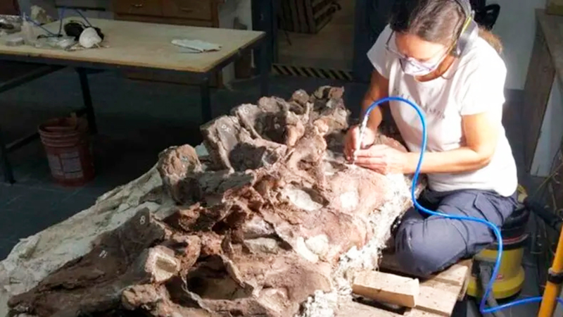 Dinosaurio palentologa BicharracosaurusDionidei Chubut 18abril2026