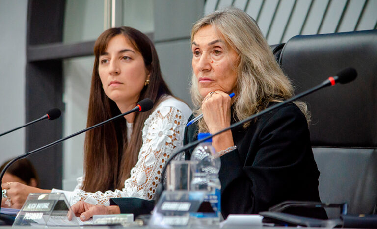 CamaradeDiputados AliciaMayoral 7mayor2026