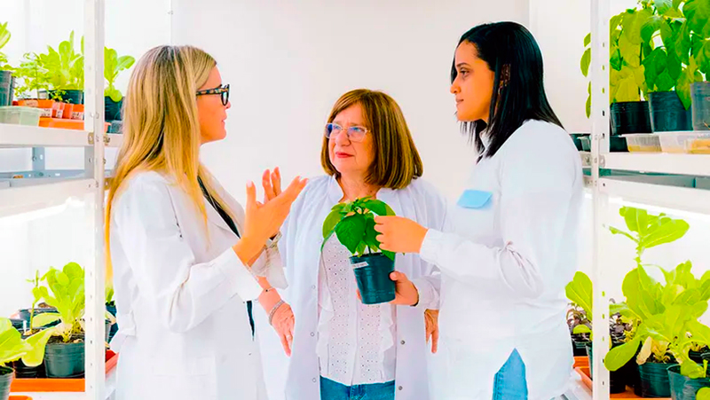 ChanRaquel cientifica Conicet 19mayo2026