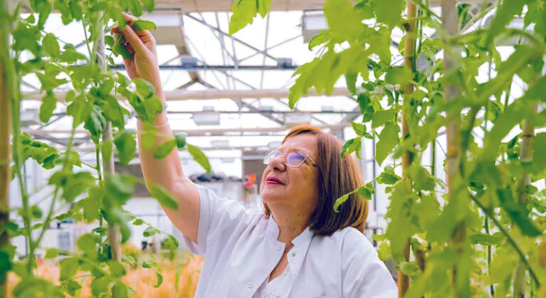 ChanRaquel cientifica Conicet 19mayo2026